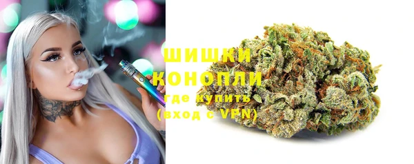 молекула духа Щигры