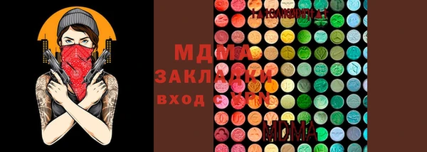 молекула духа Щигры