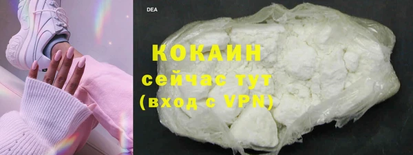 молекула духа Щигры