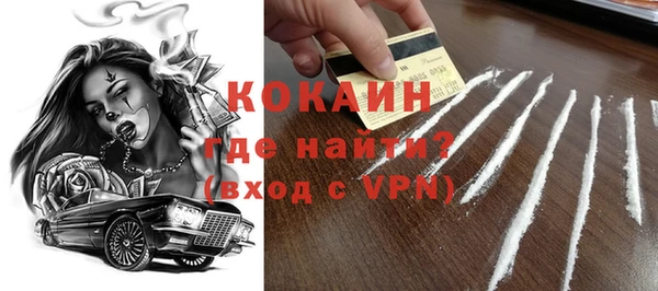 молекула духа Щигры