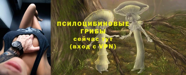 молекула духа Щигры