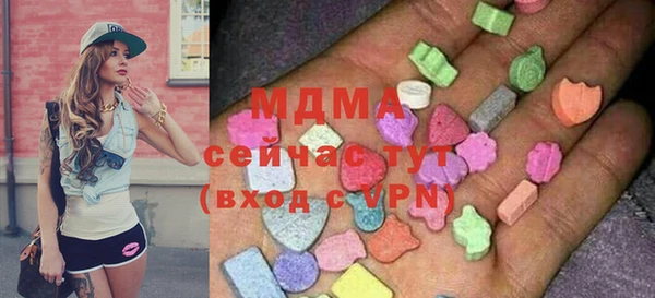 молекула духа Щигры