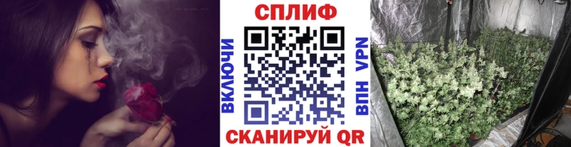 Купить  Вятские Поляны  Бошки марихуана ГИДРОПОН 